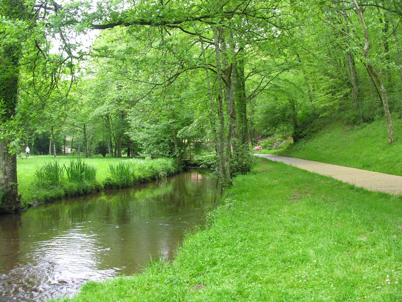 Fonds d'cran Nature Fleuves - Rivires - Torrents Fracheur et verdure