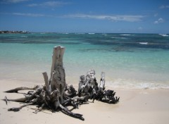 Fonds d'cran Nature Guadeloupe