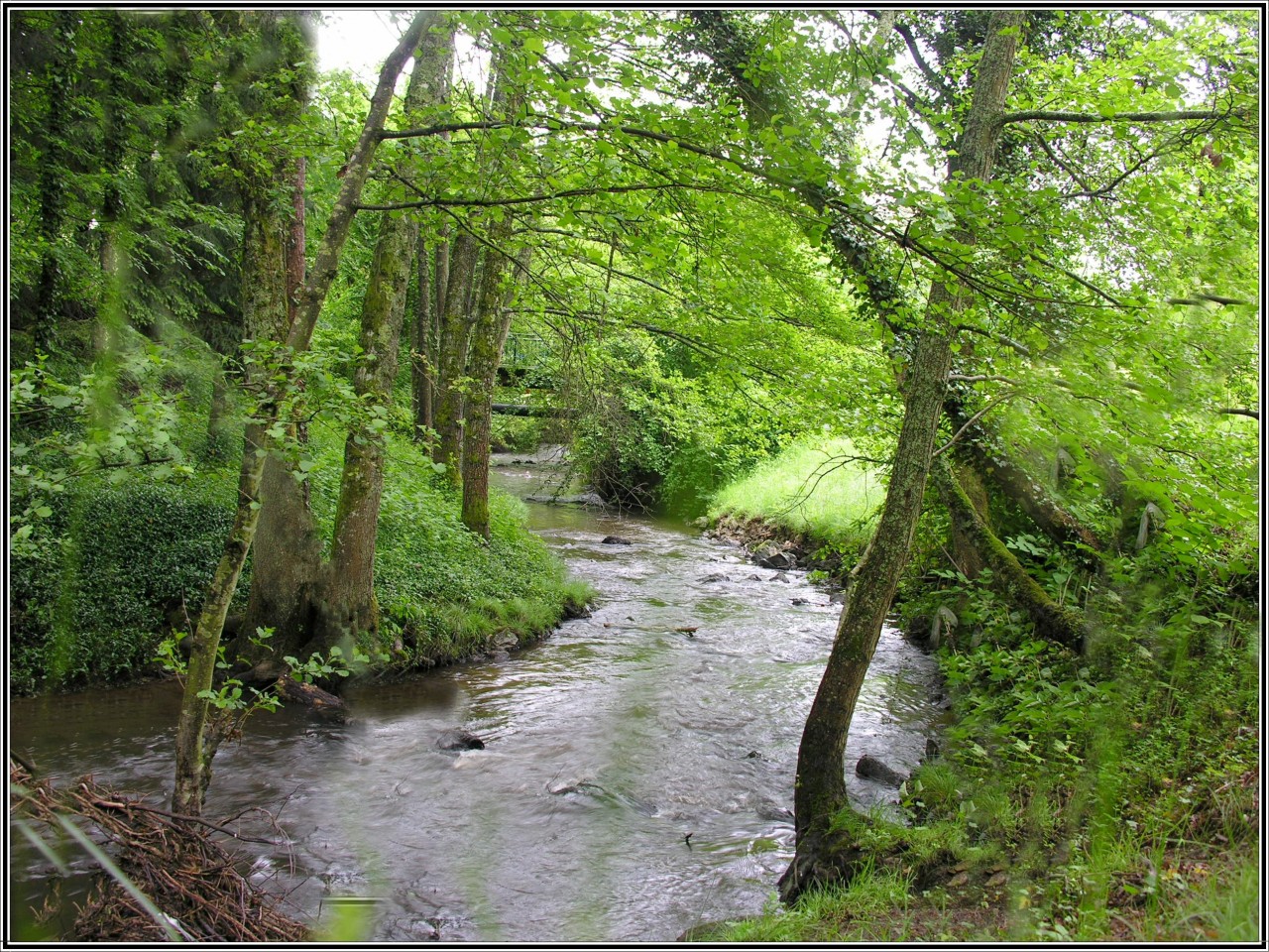 Fonds d'cran Nature Fleuves - Rivires - Torrents Bien-tre