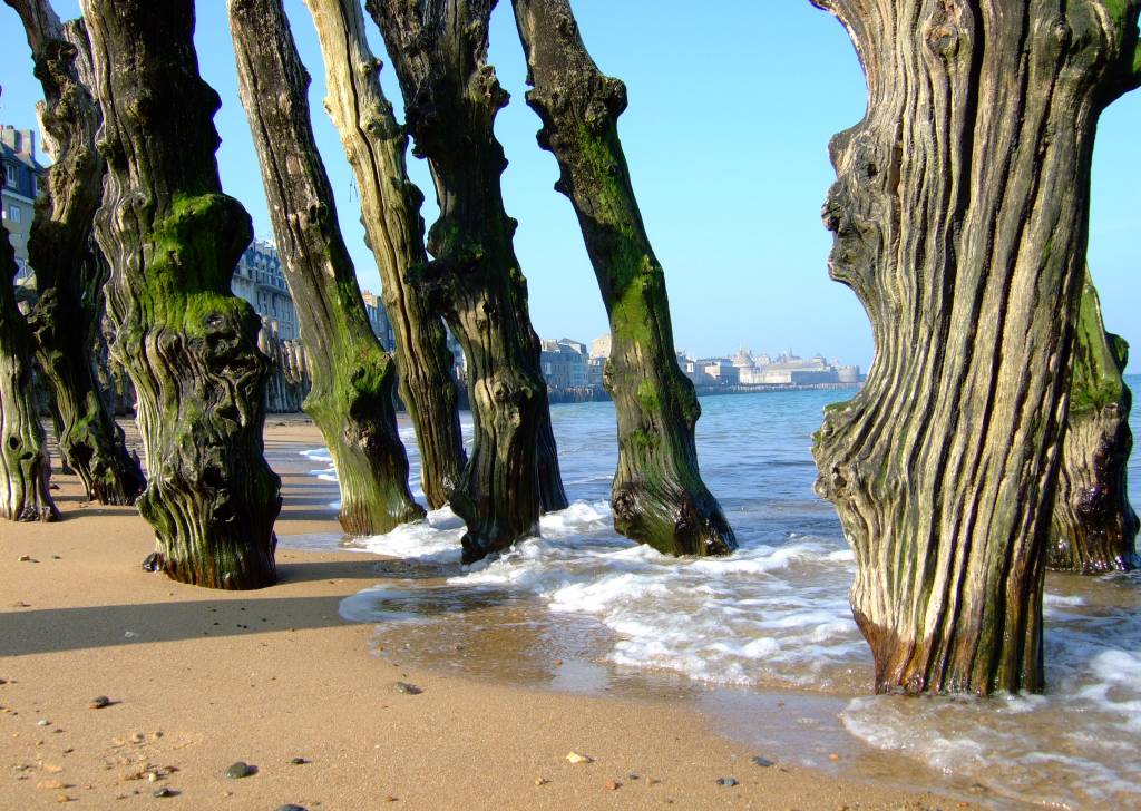 Fonds d'cran Nature Mers - Ocans - Plages ST MALO