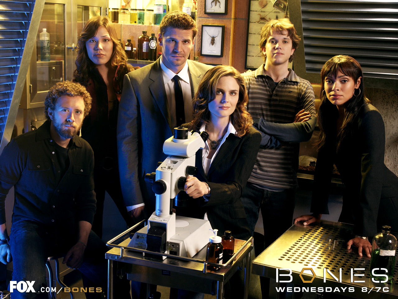 Wallpapers TV Soaps Bones quipe Bones