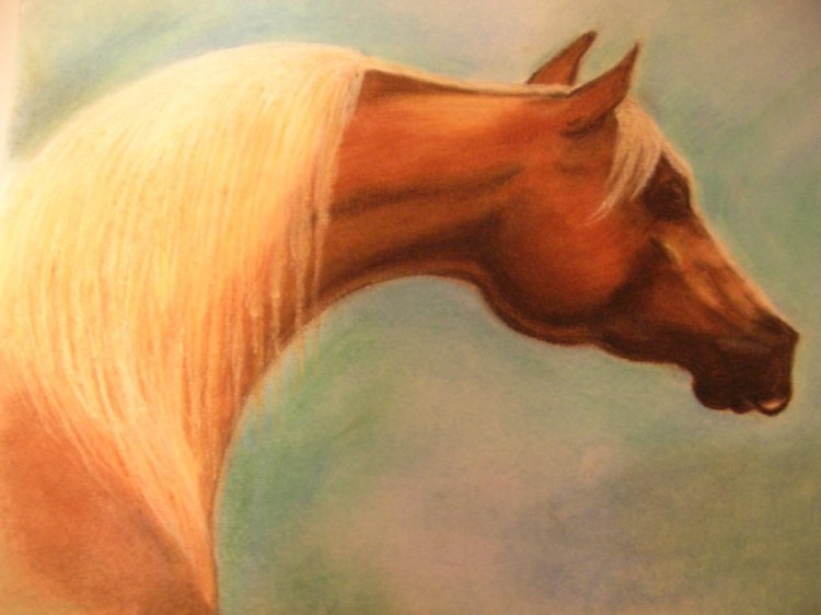 Wallpapers Art - Pencil Animals - Horses regard