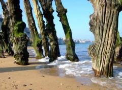 Fonds d'cran Nature ST MALO