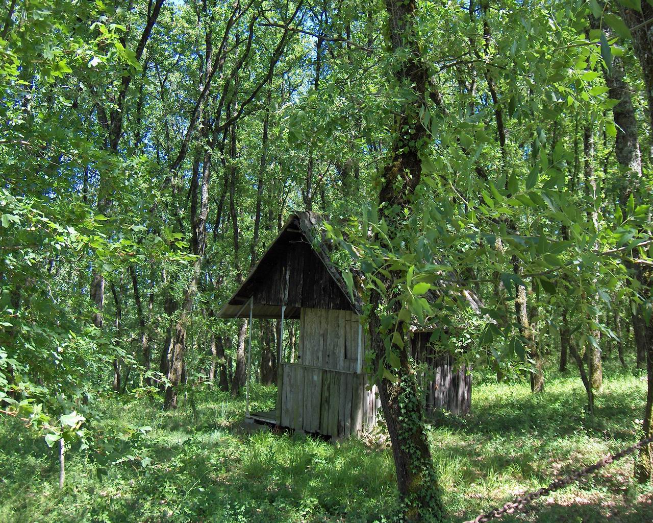 Fonds d'cran Constructions et architecture Maisons Cabane au fond des bois