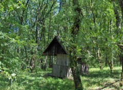 Fonds d'cran Constructions et architecture Cabane au fond des bois