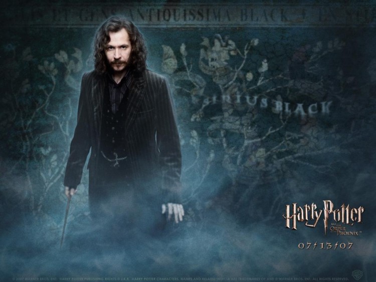 Wallpapers Movies Harry Potter and the Order of the Phoenix HP5 Sirius