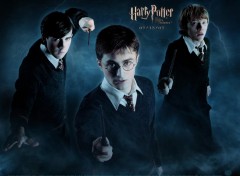 Wallpapers Movies HP5 Trio masculin