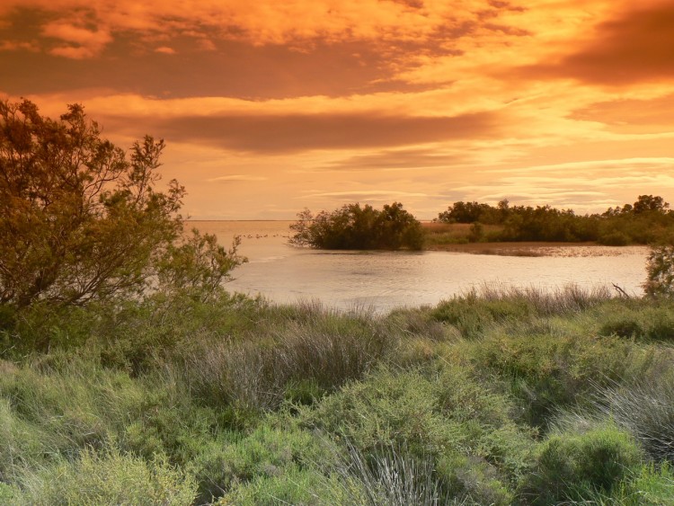 Fonds d'cran Voyages : Europe France > Languedoc-Roussillon Etang de Vacars