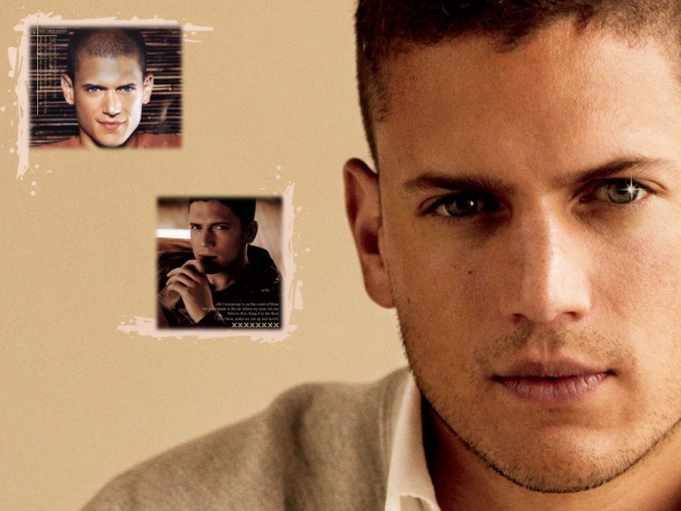 Wallpapers TV Soaps Prison Break Sexy Went!