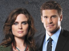 Wallpapers TV Soaps Bones