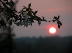 Fonds d'cran Nature Coucher de soleil