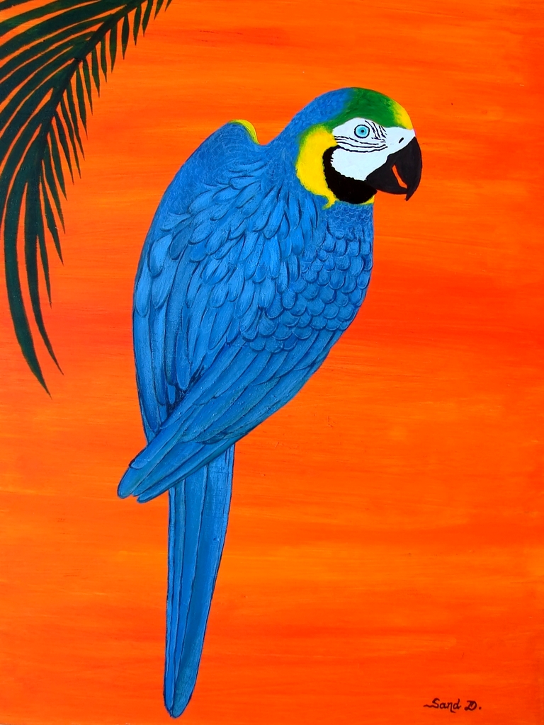 Fonds d'cran Art - Peinture Animaux Arras de Guyane