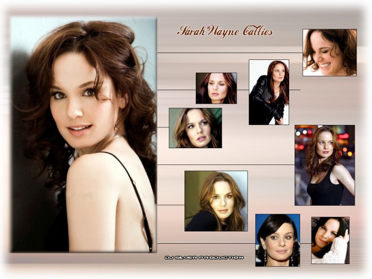 Wallpapers Celebrities Women Sarah Wayne Callies Sarah Wayne Callies