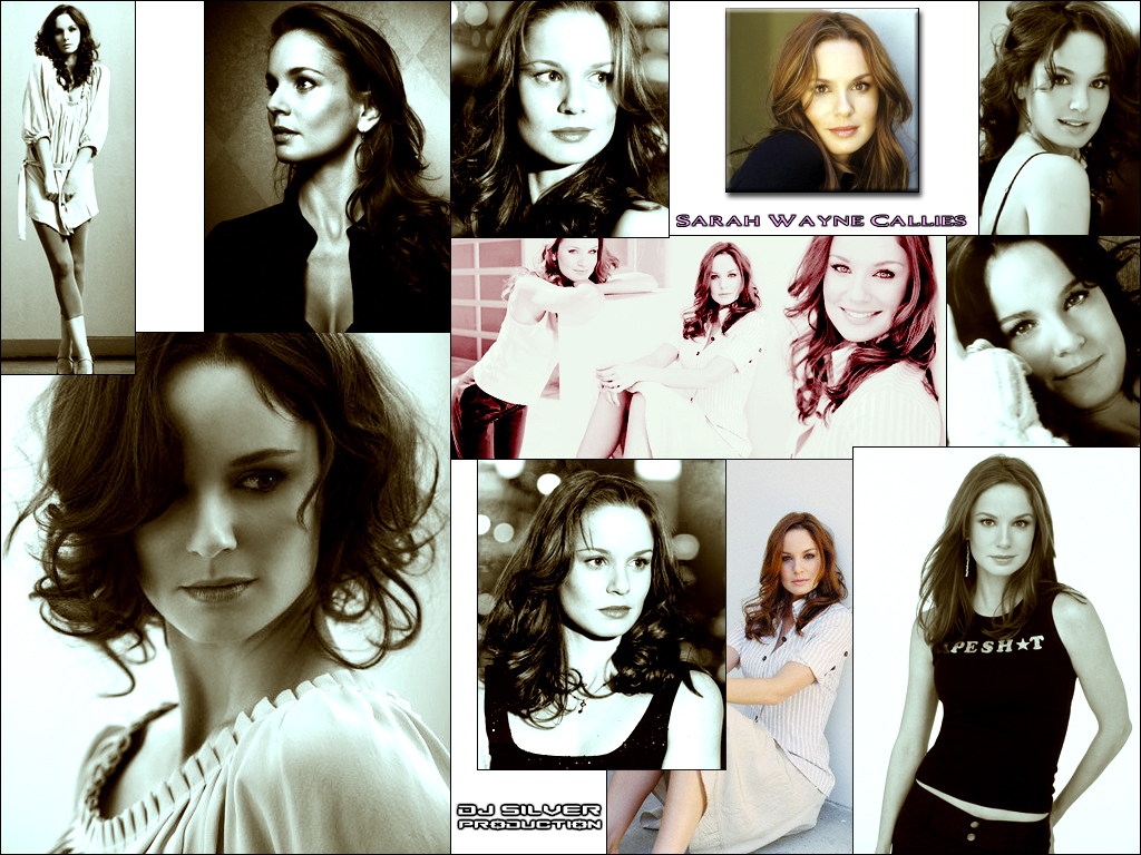 Fonds d'cran Clbrits Femme Sarah Wayne Callies Sarah Wayne Callies