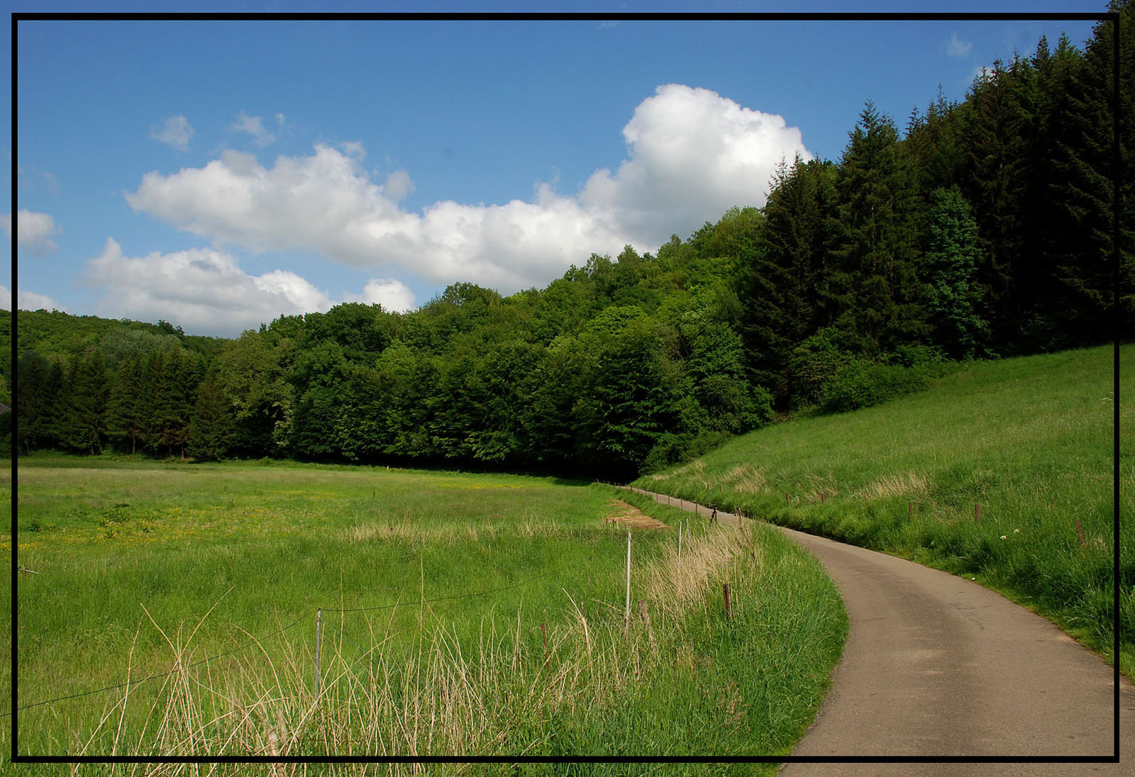 Fonds d'cran Nature Champs - Prairies promenade