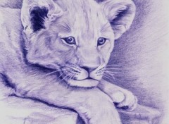 Wallpapers Art - Pencil lionceau