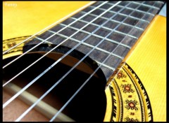 Wallpapers Music Guitare