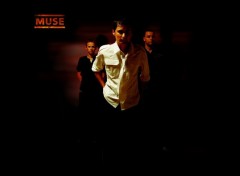 Wallpapers Music Muse