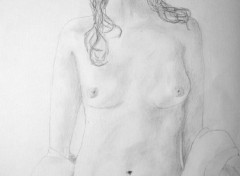 Fonds d'cran Erotic Art Femme nue 1