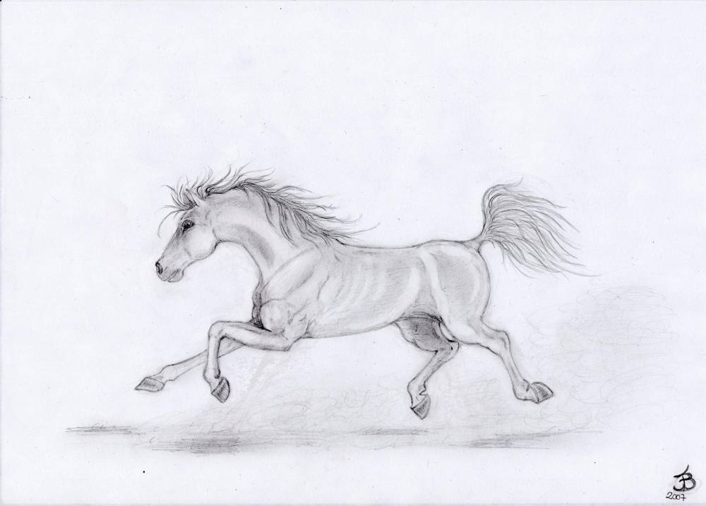 Fonds d'cran Art - Crayon Animaux - Chevaux libert