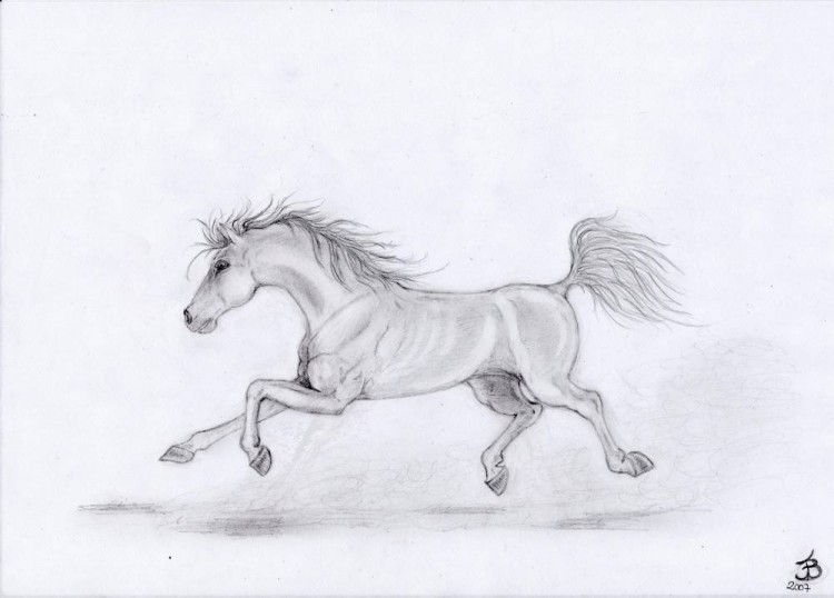 Wallpapers Art - Pencil Animals - Horses libert