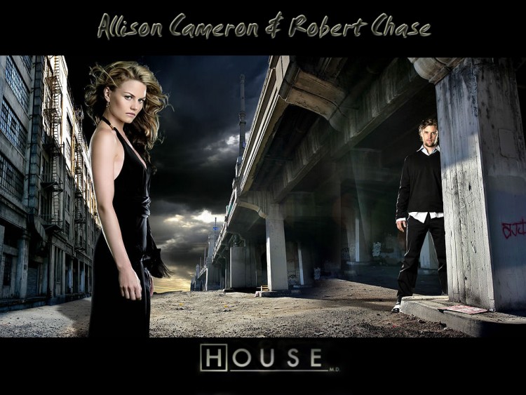 Fonds d'cran Sries TV Dr [H]ouse House : Cameron & Chase