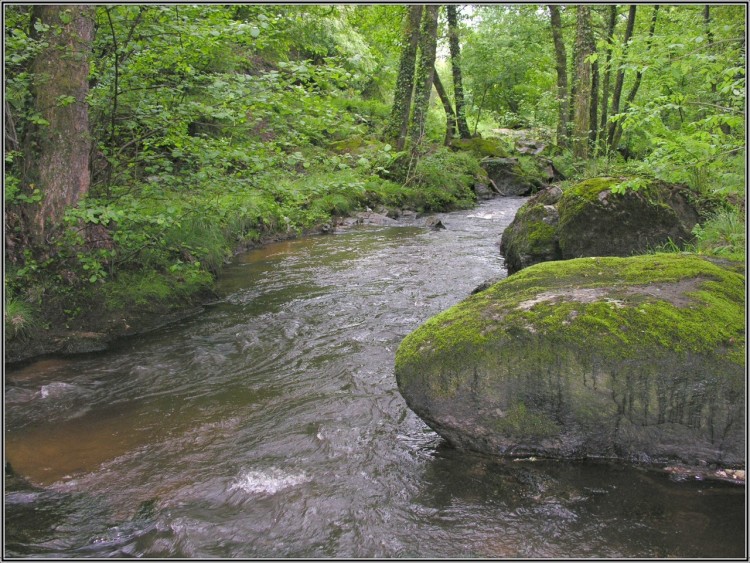 Wallpapers Nature Rivers - Torrents Plaisirs de promenade