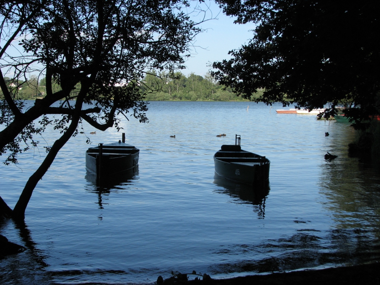 Fonds d'cran Bateaux Barques - Pirogues LAC DU BOIS JOALLAND ST NAZAIRE