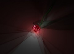 Wallpapers Digital Art Rose fatale