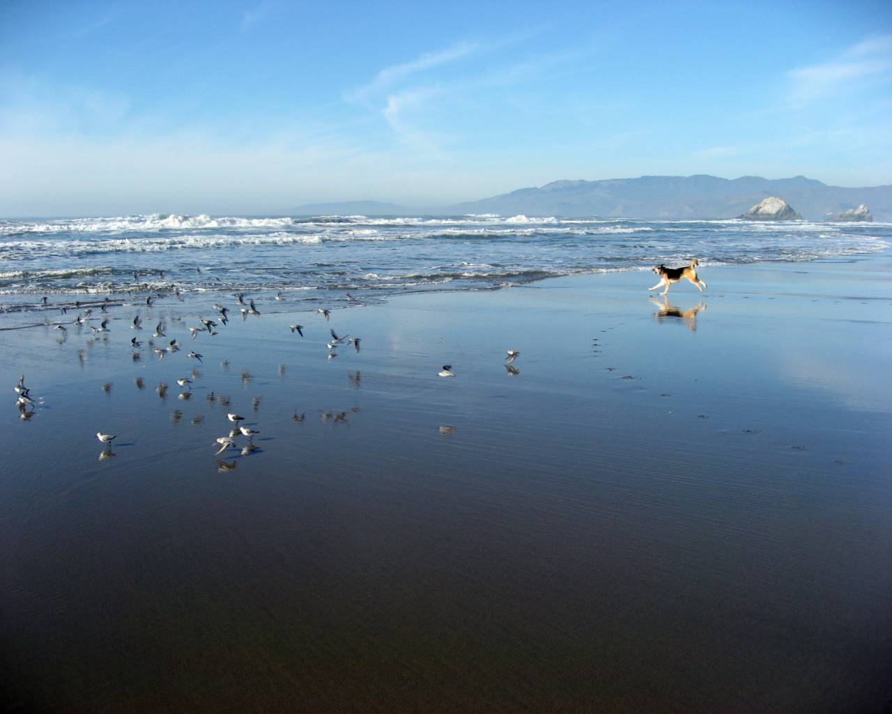 Fonds d'cran Nature Mers - Ocans - Plages Ocean Beach - San Francisco