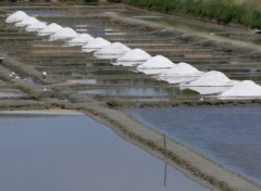 Wallpapers Nature Marais salants Noirmoutier