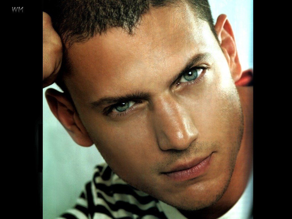 Fonds d'cran Clbrits Homme Wentworth Miller Wentworth Miller