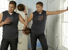 Fonds d'cran Clbrits Homme Wentworth Miller