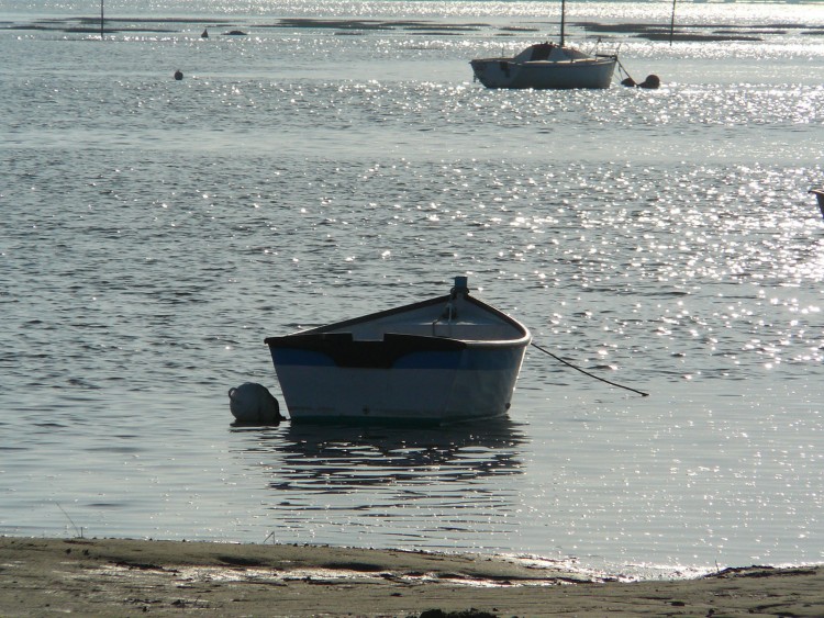 Wallpapers Boats Small Boats - Canoes bassin d'arcachon