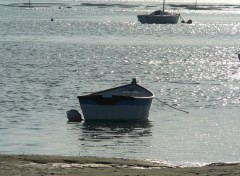 Fonds d'cran Bateaux bassin d'arcachon