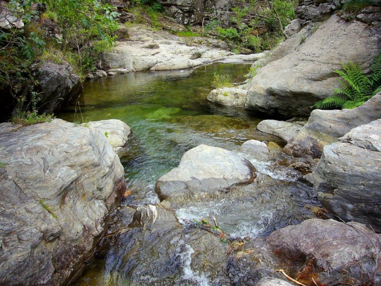 Wallpapers Nature Water - Reflection Cevennes, le Rieutort