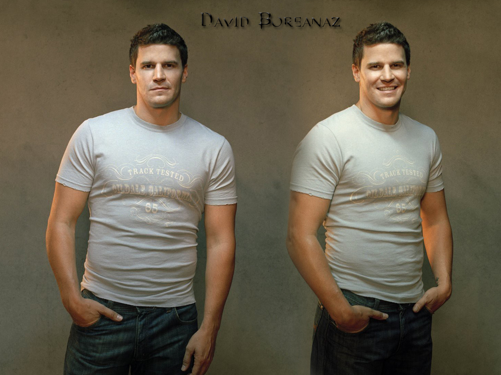 Fonds d'cran Clbrits Homme David Boranaz David Boreanaz