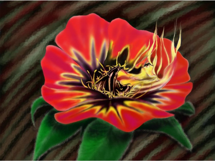 Wallpapers Digital Art Fantaisy rouge fleur en flame