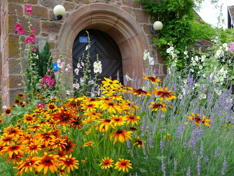 Fonds d'cran Nature Fleurs PARTERRE DE FLEURS