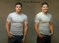 Fonds d'cran Clbrits Homme David Boreanaz