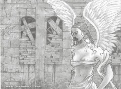 Wallpapers Art - Pencil Angele