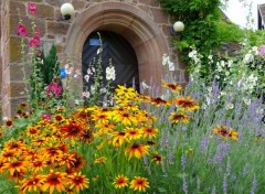 Fonds d'cran Nature PARTERRE DE FLEURS