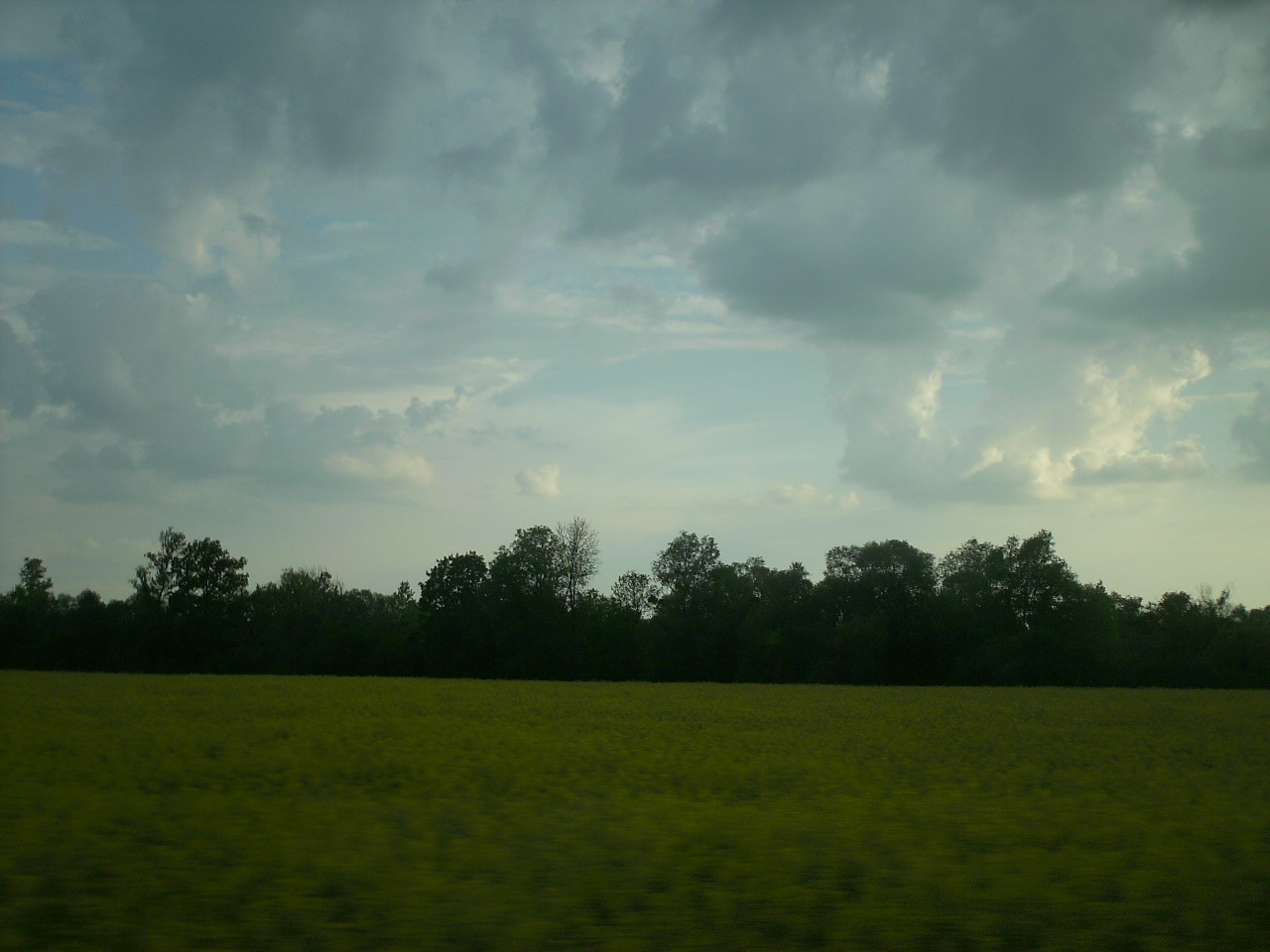 Fonds d'cran Nature Champs - Prairies cherchez le coeur...