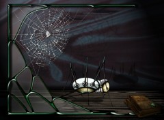 Wallpapers Digital Art spider green