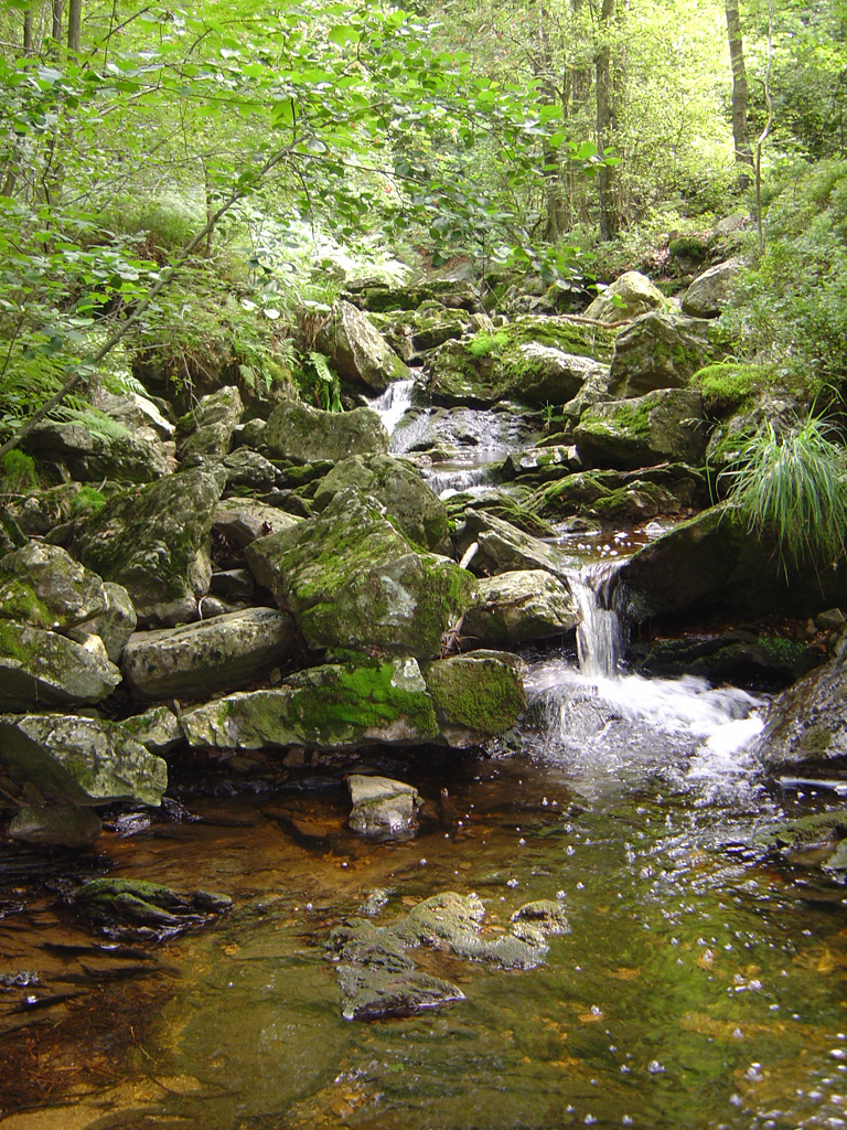 Fonds d'cran Nature Fleuves - Rivires - Torrents Statte01