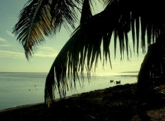 Fonds d'cran Nature SERENITE FIN d'APRES MIDI