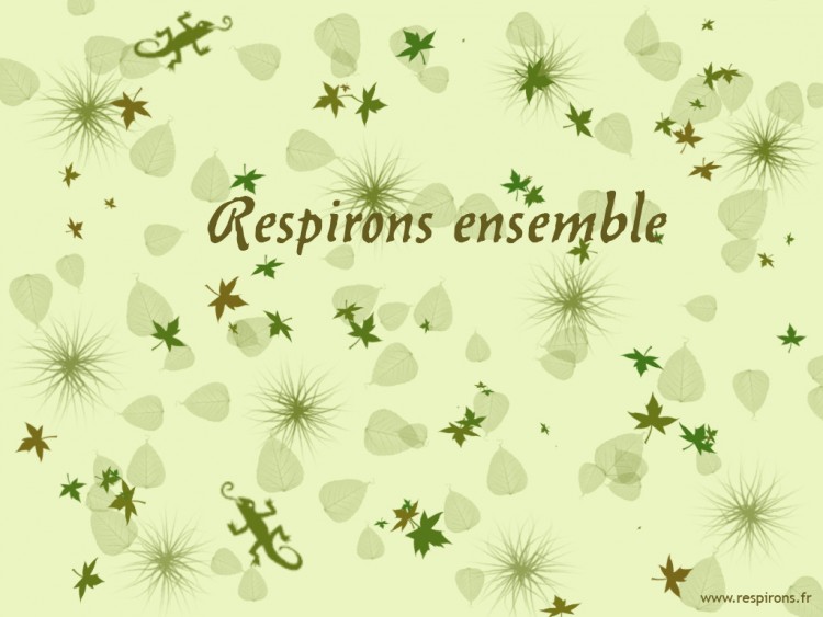 Wallpapers Nature Miscellaneous - Compositions Respirons ensemble