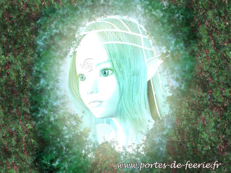 Fonds d'cran Fantasy et Science Fiction Elfes Princesse des Elfes