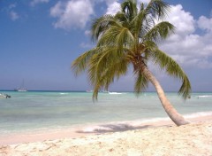 Wallpapers Nature ile Saona