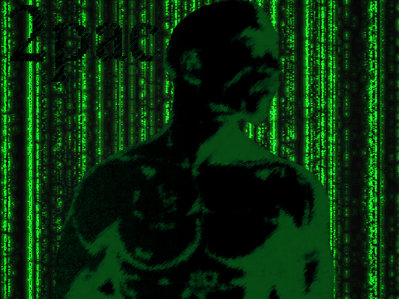 Fonds d'cran Clbrits Homme 2Pac 2pas in the matrix